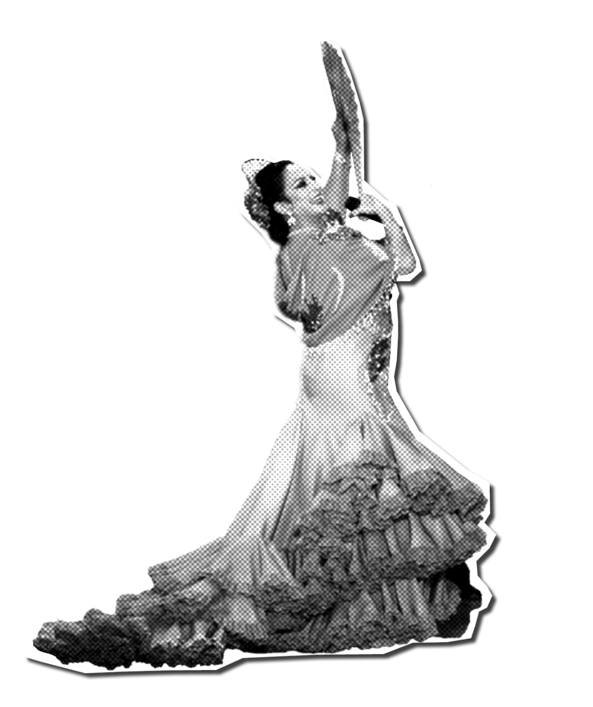 Foto de una flamenca