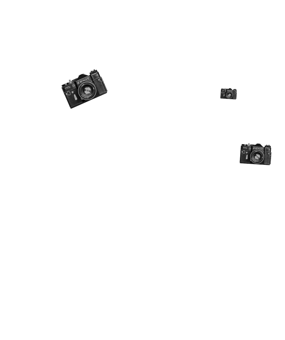 Cámaras de fotografía